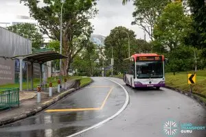 Public Transport Fare Review 2026